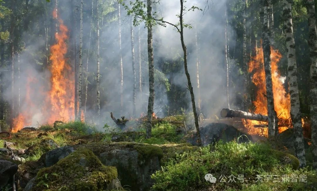 <b>森林火灾预警监控系统：防患于未然 消灭于萌芽 咫尺守护绿色家园</b>