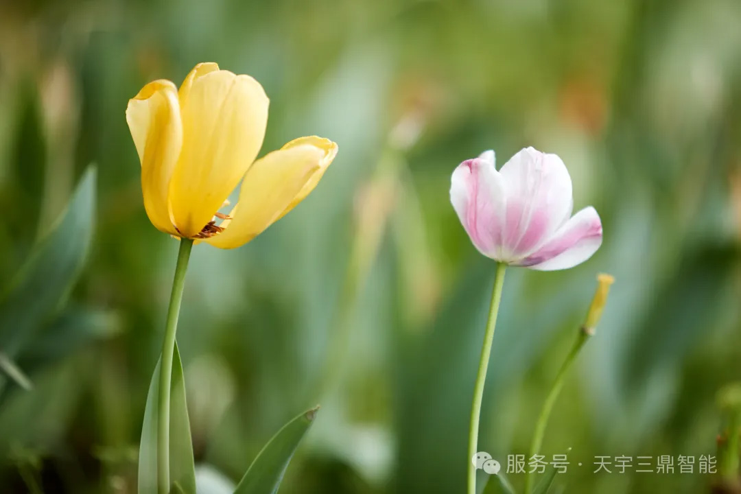 <b>《于平凡的岁月中感知生命：愿你被光阴善待 被岁月呵护》</b>